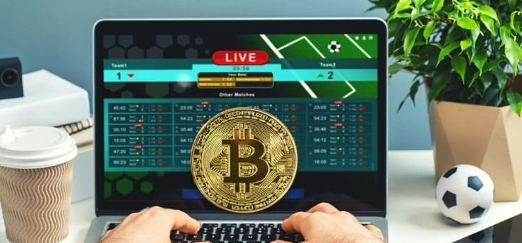 Factors to Choose the Best Bitcoin Sports Betting Site